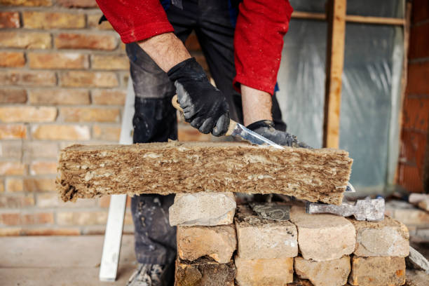 Best Insulation Removal  in Topanga, CA